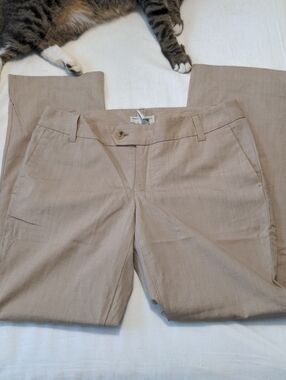 Banana Republic Flat Front Wool Trousers Size 6